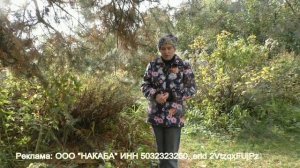 Делаем компост без измельчения