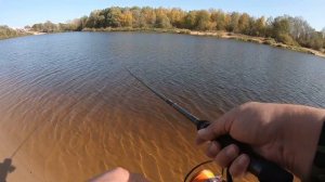 Тяжёлый отводной поводок/Zetrix Exilon EXS-792MH (9-35)/Везлома