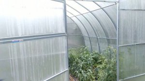 Как обустроить теплицу 4 на 4 ? Теплица капелька - какие преимущества?