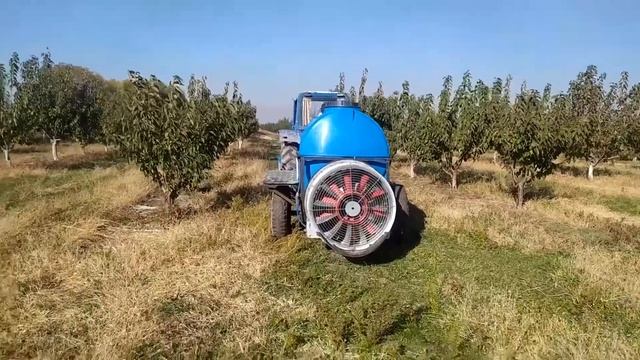 профилактическое обработке сада медесодержащим препоратом курзат р.