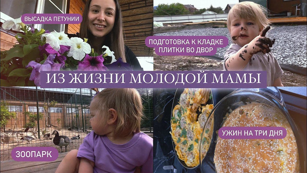 МАМА В ДЕКРЕТЕ : высадка петунии, укладка плитки во двор, готовлю ужин на три дня, поездка в зоопарк