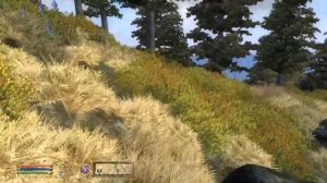 Oblivion | Секреты |  Даэдрический Артефакт Кольцо Намиры