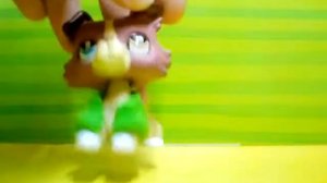 Мои новинки лпс