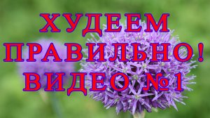 Худеем правильно, с пользой для здоровья. Видео №1.