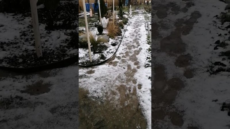 на Юге шок-погода