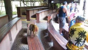 Хайнань.Санья(Остров обезьян)