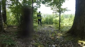 Белые грибы.  Сбор белых грибов.  Грибов много в лесу,молоденькие пошли.