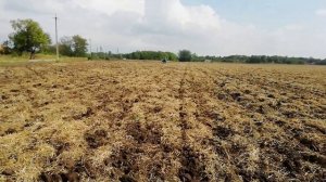 Расход солярки при чизелевание трактором МТЗ - 82.1 на глубину 40 см.