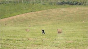 Поездка в Солонешное и на Черный Ануй