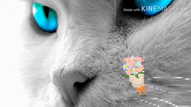 Берегите веть они ДРУЗЬЯ!!! смотреть онлайн