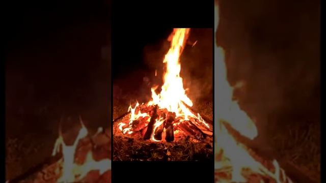 Звук костра и кричащей совы ночью