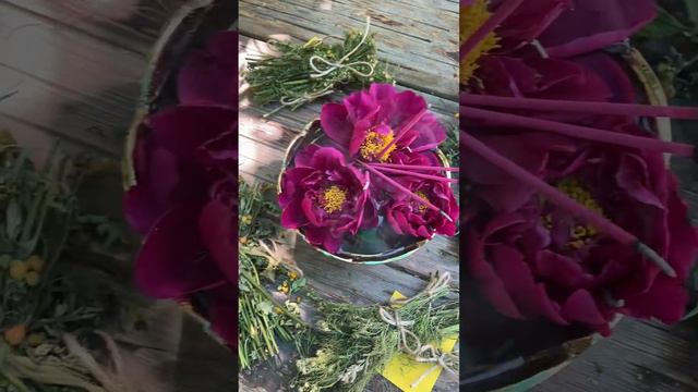 Мой магический костер. В ночь на Ивана-Купала. смотреть онлайн