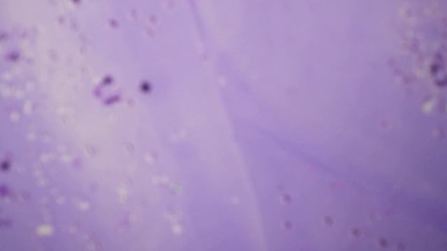 Биография М.Ю.Лермонтова