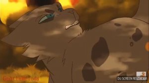 Коты воители песня my demons ежевика, белка, уголёк