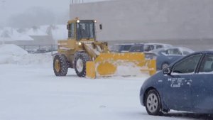 Удостоверение тракториста-машиниста