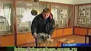 Женьшень.Корень женьшеня настоящего.