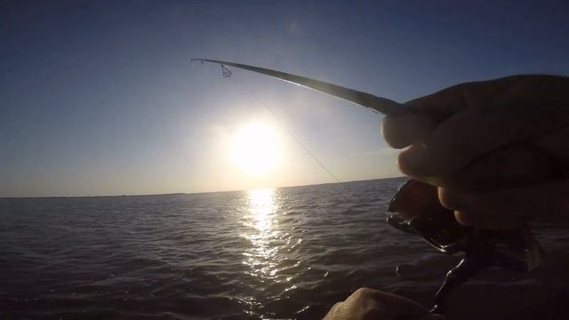 BEST DIY SALTWATER RIG FOR INSHORE FISHING 2019 смотреть онлайн