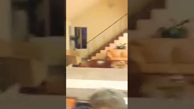 Яша & Яша исполняют "Шербургские Зонтики" смотреть онлайн