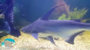 Прошлая жизнь в Турции Vlog 18