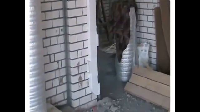 Пример вентиляции частного дома Вентиляция из пластиковых прямоугольных воздуховодов