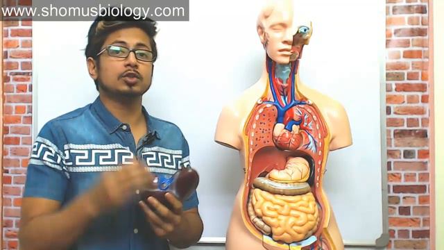 SGOT test in Hindi | SGOT test procedure смотреть онлайн