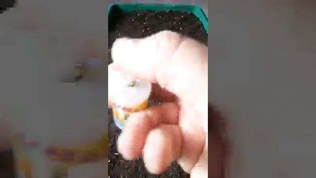 Посев мелких семян "сажалкой". смотреть онлайн