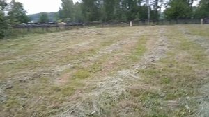 Заготавливаю сено прям у себя на огороде. Домик в деревне.