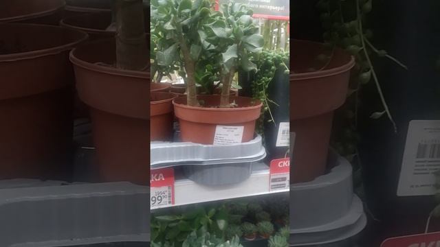 ТЦ Ашан, Ростов-на-дону смотреть онлайн