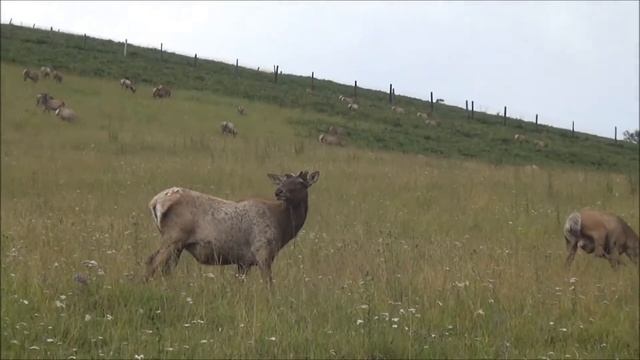 Место в которое хочется возвращаться! смотреть онлайн