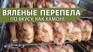 ВЯЛЕНЫЕ ПЕРЕПЕЛА от Эдуарда Перепелкина в новой коптильне от ИП Федотова А. В.