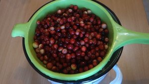 Клюква протертая с сахаром. Отличная заготовка на зиму!
