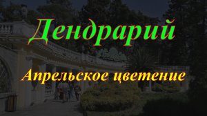 Дендрарий. Апрельское цветение