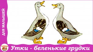 Утки - беленькие грудки. Стишок З. Александровой для детей