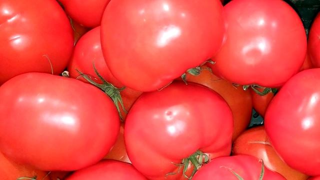 Сажайте эти скороспелые сорта томатов не прогадаете! Засыплят урожаем даже в неплодородный год смотреть онлайн