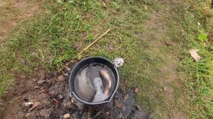 Ловля КРУПНОГО КАРАСЯ НА ФЛЭТ фидер | Рыбалка на дикаре | Осенний ЖОР КРУПНОГО КАРАСЯ