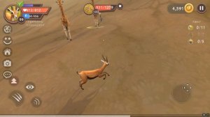 КАК ПРОКАЧАТЬСЯ ДО 100 УРОВНЯ за ЛЬВА в WILDCRAFT