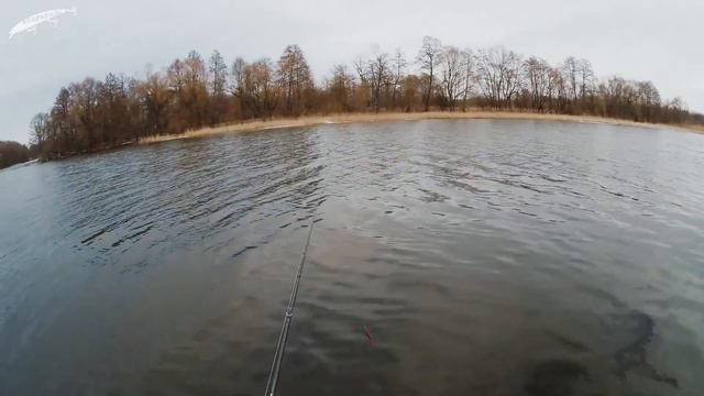 ZETRIX Avalanche ZAC 702M CASTING. ОБЗОР и тест на воде.