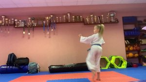 Пример экзамена на 9 кю (Жёлтый пояс)