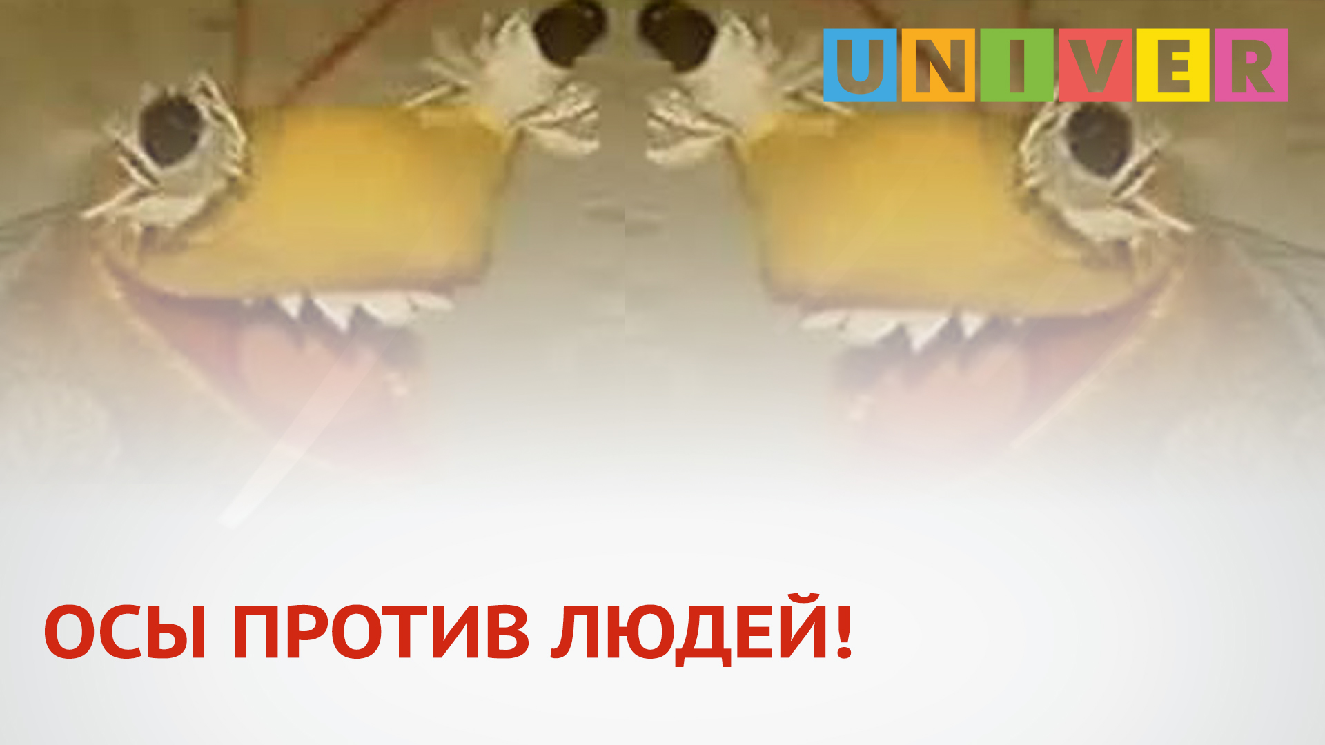 Против ос. Человек против осы