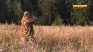 Охота с Кузенковым 3