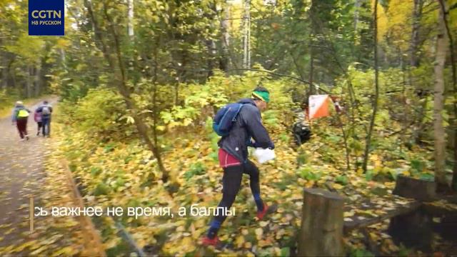 Рогейн в красноярском заповеднике «Столбы»