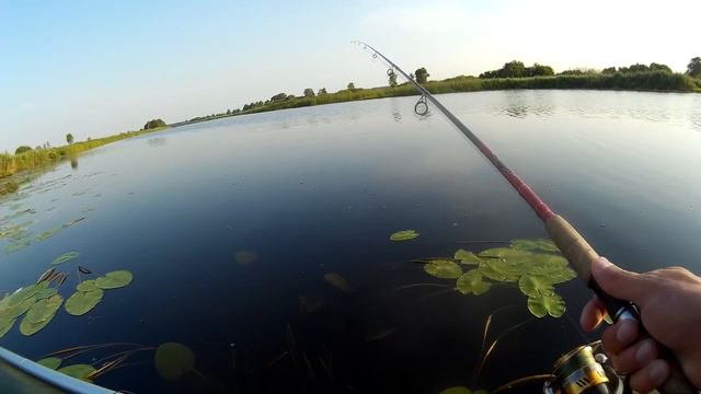 Речка Ржевка Славский район Калининградской обл. В поисках зубастой!!! смотреть онлайн