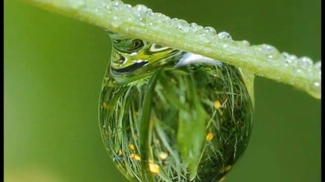 Macro photography water drops /Макро фото капли воды смотреть онлайн
