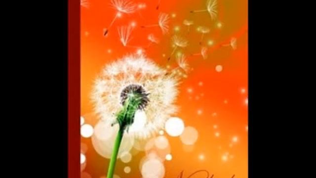 Блокнот купить смотреть онлайн