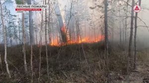 Лесной пожар. Трагедия в Кондинском районе