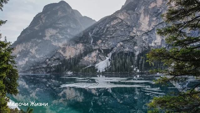 Купил матери цветы на трассе у девочки, а приехав домой, развернул обёртку и застыл... смотреть онлайн