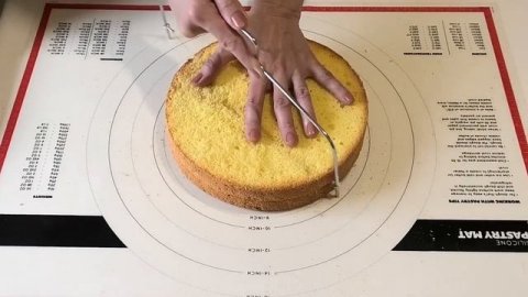 Торт Таврический бисквитный.