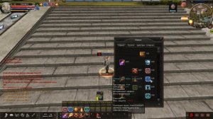 Karos.Гайды.Советы Паладин