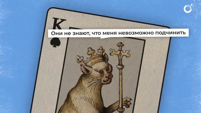 История кошек за 10 минут