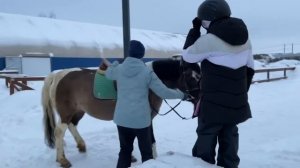 Аня начала заниматься конным спортом. Новополье